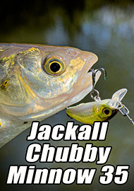 Обзор: Обзор Jackall Chubby Minnow 35: возвращение легенды для ловли голавля