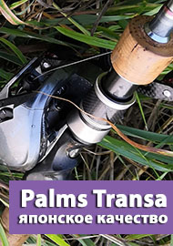 Palms Transa японское качество в бюджетном исполнении. Обзор