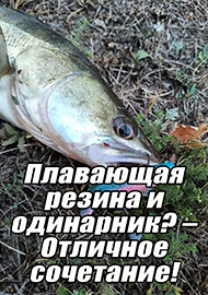 Статьи: Плавающая резина и одинарник? – Отличное сочетание!