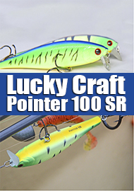 Обзор воблеров Lucky Craft Pointer 100 SR/SSR: cладкая парочка для мелководья.