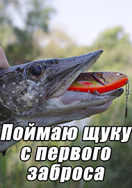 Статьи: Поймаю щуку с первого заброса