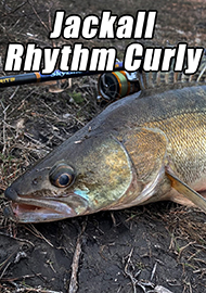 Обзор: Продолжение «Ритмичной» тематики. Обзор Jackall Rhythm Curly