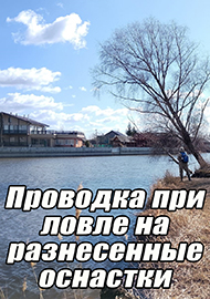 Статьи: Проводка при ловле на разнесенные оснастки