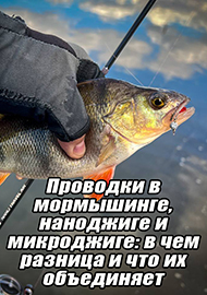 Статьи: Проводки в мормышинге, наноджиге и микроджиге: в чем разница и что их объединяет