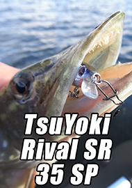 Обзор: Фавориты. Вариант для подстраховки. Обзор TsuYoki Rival SR 35 SP.
