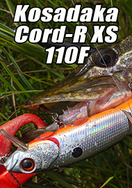 Обзор: Обзор Kosadaka Cord-R XS 110F. Туда, куда не долететь "Тинику"!
