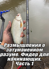 Статьи: Размышления о затуманенном разуме. Фидер для начинающих. Часть 1.