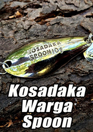 Обзор: Результат за копейки. Обзор блесны Kosadaka Warga Spoon