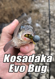 Обзор: Родила Царица в ночь… Обзор Kosadaka Evo Bug.