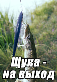 Статьи: Щука - на выход