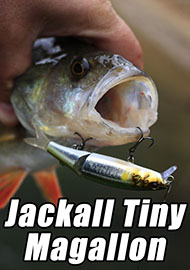 Обзор: Обзор Jackall Tiny Magallon