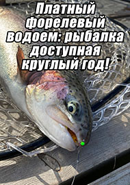 Статьи: Платный форелевый водоем: рыбалка доступная круглый год!