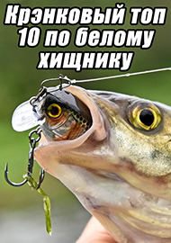 Статьи: Крэнковый топ 10 по белому хищнику