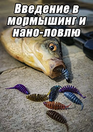 Статьи: Введение в мормышинг и нано-ловлю.