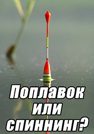 Статьи: Поплавок или спиннинг? Выбор, который определяет твой характер