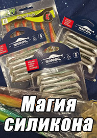 Статьи: Магия силикона