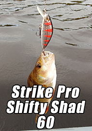 Обзор: "Широкий" универсал. Обзор Strike Pro Shifty Shad 60