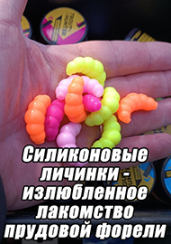 Статьи: Силиконовые личинки - излюбленное лакомство прудовой форели