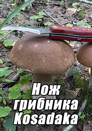 Обзор: Складной нож для сбора грибов KOSADAKA N-M55. Обзор