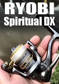 Ryobi Spiritual DX 500: большой функционал за малые деньги. Обзор.