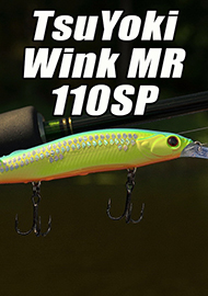 Обзор: Сравнение Megabass Vision Oneten Plus 1 и TsuYoki Wink MR 110SP