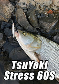 Обзор: Главный лучший анти-стресс! Обзор TsuYoki Stress 60S