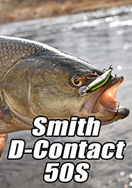 Обзор: «Стримовая» легенда Smith D-Contact 50S