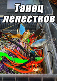 Статьи: Танец лепестков