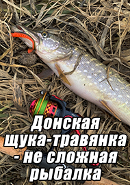Статьи: Донская щука-травянка - не сложная рыбалка