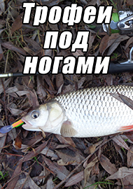 Статьи: Трофеи под ногами.