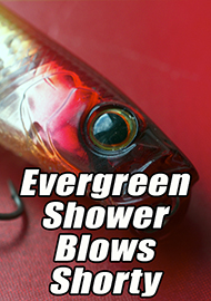 Обзор: Универсальный топвотер от Evergreen. Обзор воблера Evergreen Shower Blows Shorty