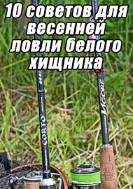 Статьи: 10 советов для весенней ловли белого хищника