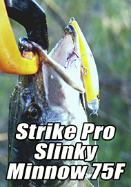 Обзор: Воблер, за которым щука вылетает из воды. Обзор Strike Pro Slinky Minnow 75F