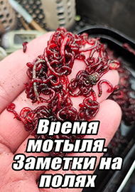 Статьи: Время мотыля. Заметки на полях.