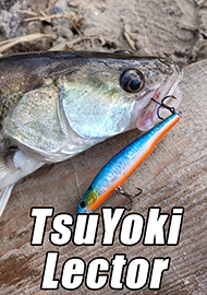 Обзор: Все на лекцию к TsuYoki Lector! Обзор TsuYoki Lector