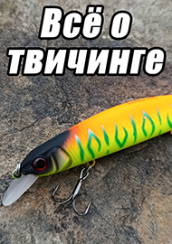 Статьи: Всё о твичинге