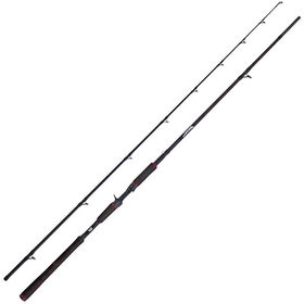 Кастинговое удилище Abu Garcia Beast Pike 802HP