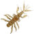 Мягкая приманка Bait Breath Skeleton Shrimp 2.7 (6.8 см) 726 (упаковка - 8 шт)