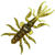 Мягкая приманка Bait Breath Skeleton Shrimp 2.7 (6.8 см) S868 (упаковка - 8 шт)