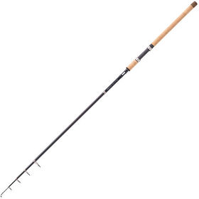 Спиннинг Balzer Edition IM-12 Tele (3.60м; 35-100г)