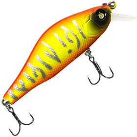 Воблер BAT Expert BT069 70F (9.5г) CS48