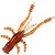 Силиконовая приманка Crazy Fish Crayfish 1,8 / 26-45-10-6 / Кальмар (8 шт.)