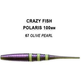Силиконовая приманка Crazy Fish Polaris 4 / 38-100-67-6 / Кальмар (6 шт.)