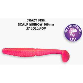 Силиконовая приманка Crazy Fish Scalp Minnow 4 / 18-100-37-6 / Кальмар (4 шт.)