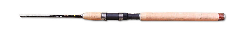 Спиннинг Daiwa Exceler - AD EXS (3)