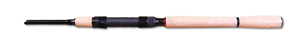 Спиннинг Daiwa Infinity-Q BD IFQ (2)