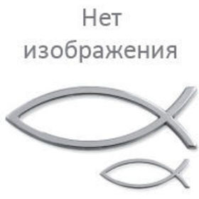 Силиконовая приманка Dunaev DS-Minoga (10 см) 201 оранжевый (упаковка - 4 шт)