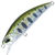 Воблер DUO Spearhead Ryuki 50SP (3.3г) ANA4034