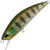 Воблер DUO Spearhead Ryuki 50SP (3.3г) CCC3158