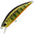 Воблер DUO Spearhead Ryuki 50SP (3.3г) MCC4084